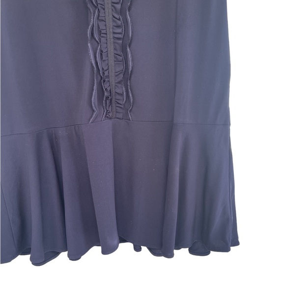 Banana Republic Blue Peplum Ruffle Tank S - Picture 9 of 14